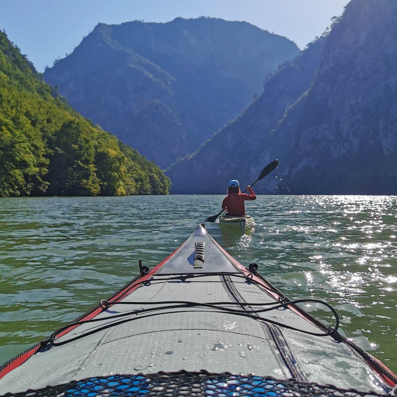 Kayak Green Vision kontakt
