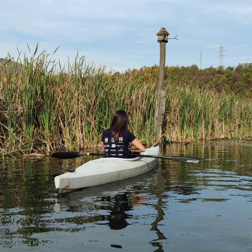 IMG_20221023_132939 copy